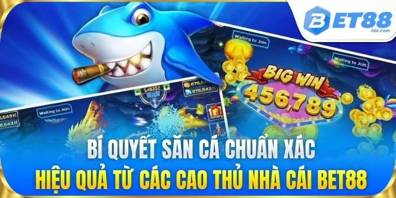 Bí quyết săn cá hiệu quả từ các cao thủ