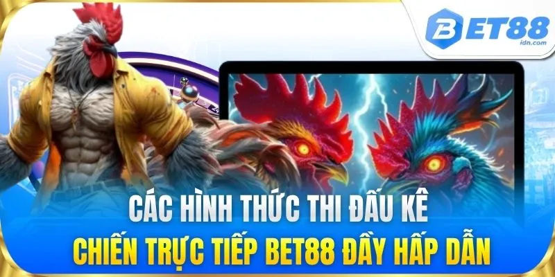 Các hình thức thi đấu kê chiến trực tiếp đầy hấp dẫn